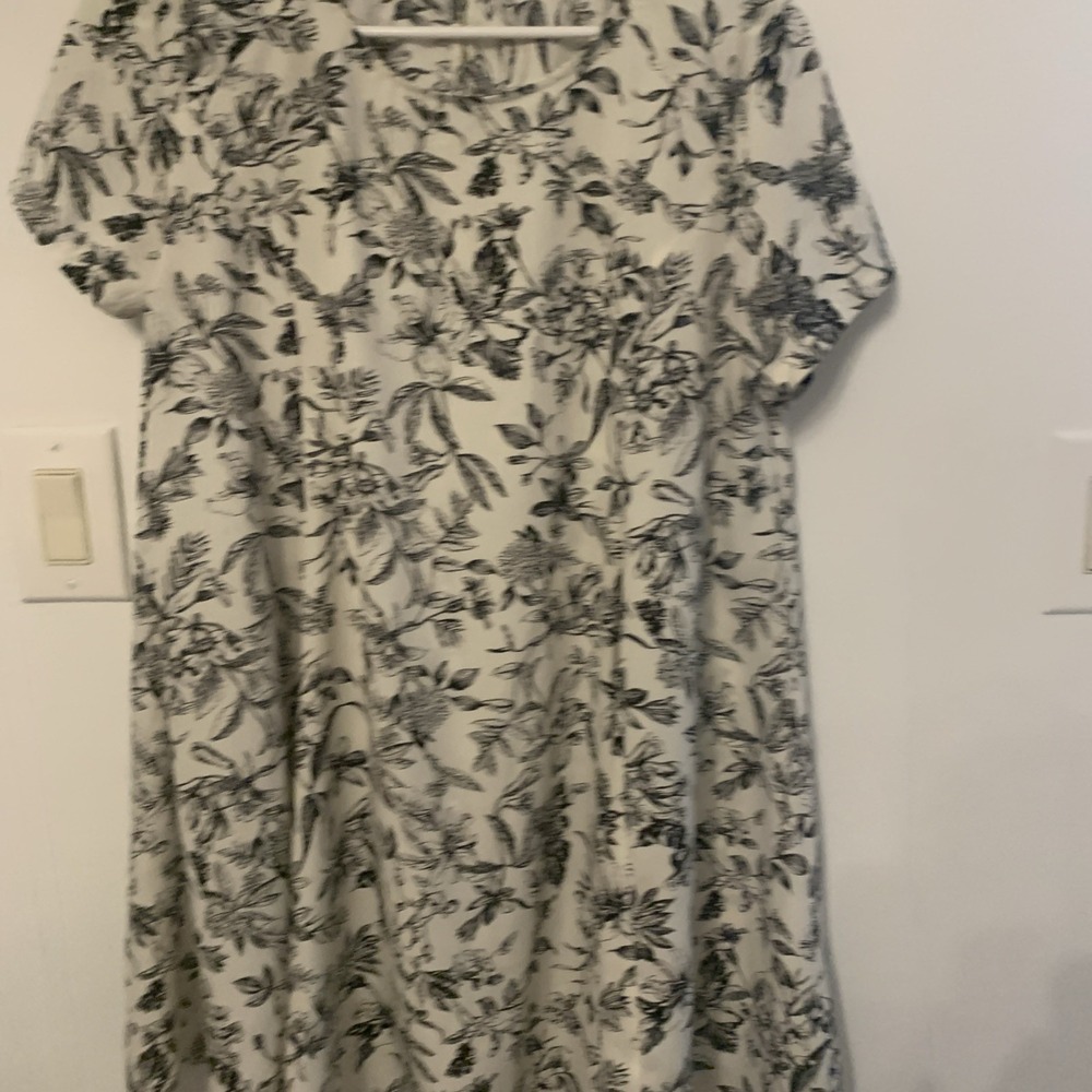 LUSH Size M Black Floral White Short Sleeve Classic Summer Swing Dress